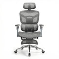 Gray Ergonomic Desk Chair with Adjustable Headrest and Arms